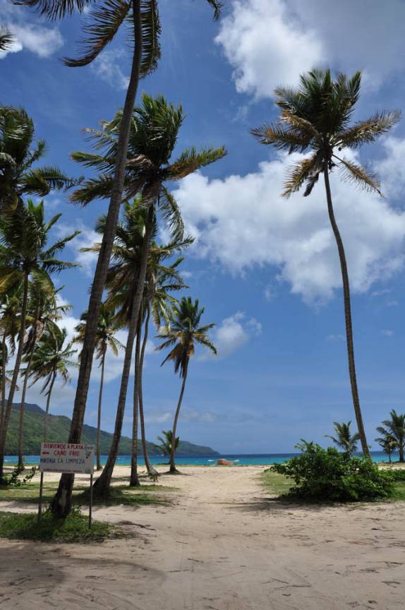 Coqueiros nos recebem na Playa Rincón, perto de La Galera, na península de Samaná, na costa norte da República Dominicana